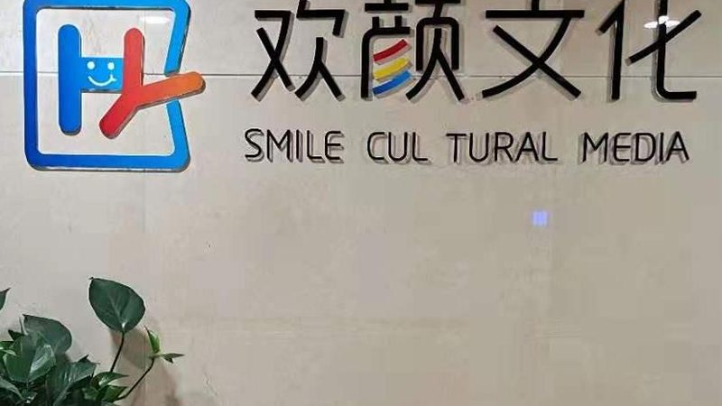 成都新品牌设计：揭秘高效设计步骤
