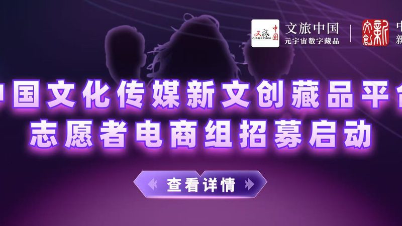 文化传媒公司注册资金：合规与策略解析**